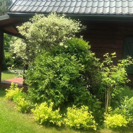 Villa Dom Z Bali Bajkowy Dom Dzwierzuty