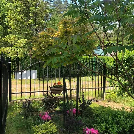 Dom Z Bali Bajkowy Dom * Dzwierzuty