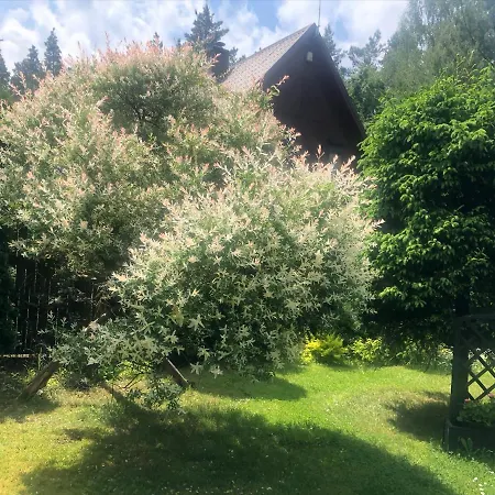 Dom Z Bali Bajkowy Dom Dzwierzuty